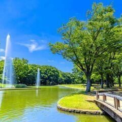 『⭐️😄3/30＊代々木公園＊土曜日は「そうだ！のんびり都心でピクニックしよう♪♪😄⭐️』 − 東京都