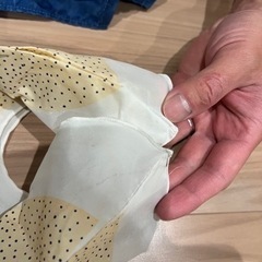 鯉のぼりの画像