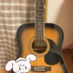 honeybee アコギ
