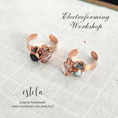 4月(後半)エレクトロフォーミング ワークショップの画像