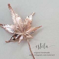 4月(後半)エレクトロフォーミング ワークショップの画像