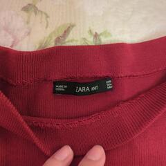 （ZARA）ニットの画像