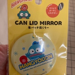 ハンギョドンミラー！！