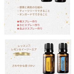 初心者の方！大歓迎！！　基本のアロマ10本　5回コースの画像