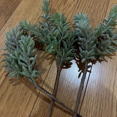 造花多肉植物④