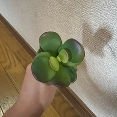 造花多肉植物⑤