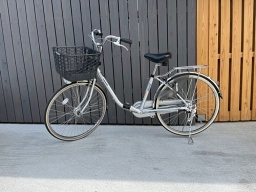 パナソニック　Cinnamon JP  美品