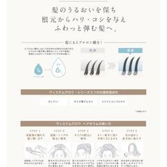 ヴィステムグロウ ヘアセラム
<ヘア用美容液>

80mL

【727化粧品 7beauty Solution Series】の画像