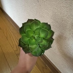 造花多肉植物⑨