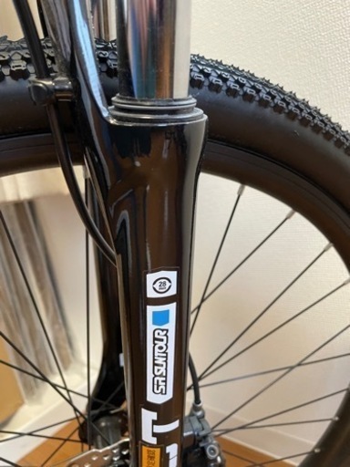ルイガノ自転車【未使用】