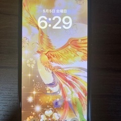 iPhone11Pro  256GB 再投稿