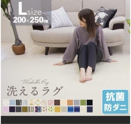 ラグ　200×250