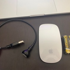 Apple社製マジックマウスとUSBライト