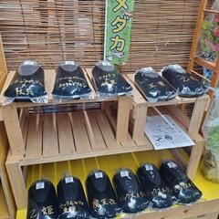 三股町蓼池 地産地消村、百姓市場 改良めだか 毎日販売中