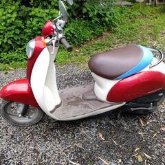 ホンダスクーピー売ります。の画像