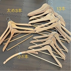 木製ハンガー17本、プラスチックハンガー5本の画像