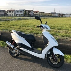 早い者勝ち 話早い方、早く引き取られる方優先 シグナスX 1型 ...