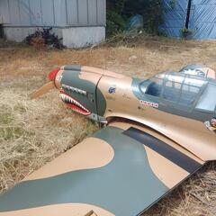 ラジコン飛行機　大型の画像