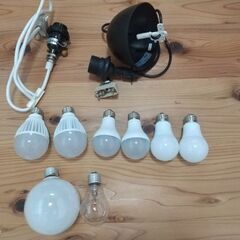 LED電球、ソケット