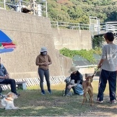 ５月12日☀️夜須で犬のしつけ教室やります🐶💓🧑の画像
