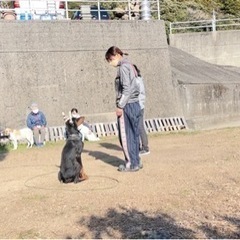 ５月12日☀️夜須で犬のしつけ教室やります🐶💓🧑