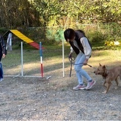 ５月12日☀️夜須で犬のしつけ教室やります🐶💓🧑の画像