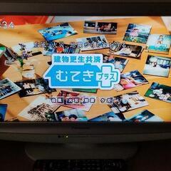 panasonic TH-L20X1