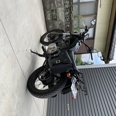 グラストラッカー250の画像