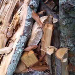 薪と木っ端、キャンプ、BBQ、テントサウナ、薪ストーブなどにの画像