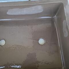 盆栽 ☆盆栽入門にの画像