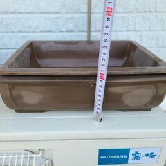 盆栽 ☆盆栽入門にの画像