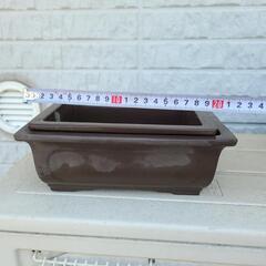 盆栽 ☆盆栽入門にの画像