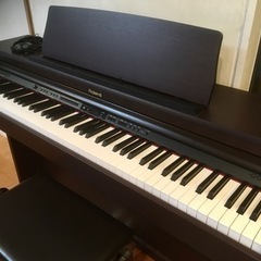 電子ピアノ　初心者向けにいかがでしょうか