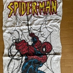 バスタオル　スパイダーマンの画像