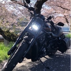 ソロツー、少数派、の方