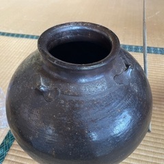 亀壺ですの画像
