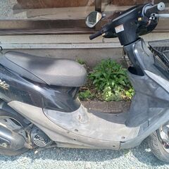 AF35　Dio