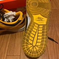 NIKE ナイキ　ダンクロー　の画像