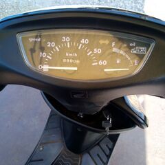 ホンダ AF34 Dio No33の画像