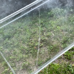 水槽　あげますの画像