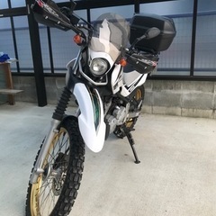 セロー　最終値下げ❗️FI 2018年製ワンオーナー　❗️走行少❗️状態良好❗️メンテナンス渡し❗️の画像