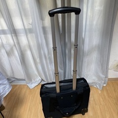 ライゼンタール２輪　ころころです^_^の画像