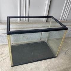 水槽　ガラス？アクリル？