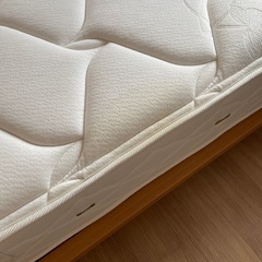 21日引き取り予定、キャンセルの場合順にご連絡の画像