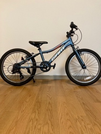 GIANT 20インチ XTC Jr20 254 ブルーアッシュ