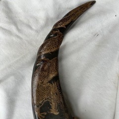 水牛の角の画像