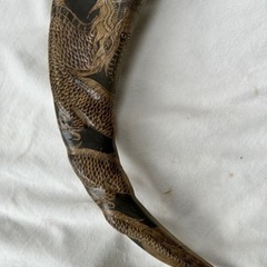 水牛の角の画像