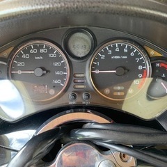 フォルツァ08の画像