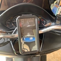 フォルツァ08の画像