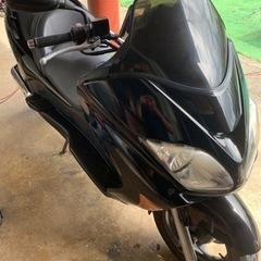 フォルツァ08の画像